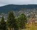 Chalet exceptionnel Gerardmer - H i lf immo js gerardmer marchal-41