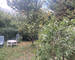maison de construction traditionnelle - Duvin jardin 2