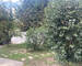 maison de construction traditionnelle - Duvin jardin