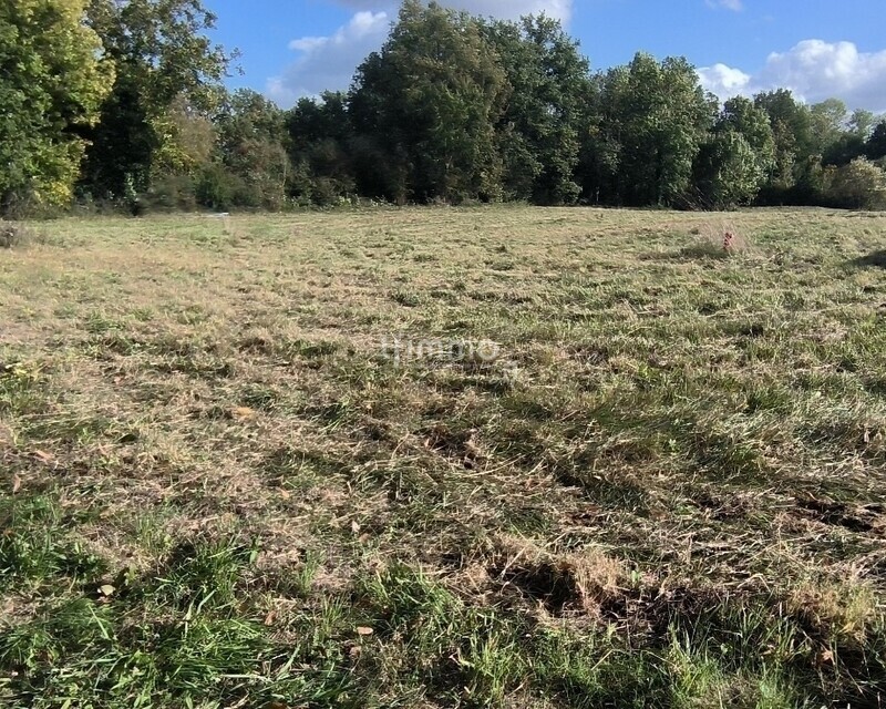  🏗️ Terrain à Bâtir – Projet de Lotissement à Moisenay (77) - Christophe dogliani lfimmo