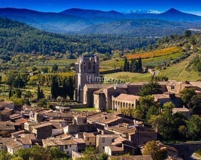  remise viticole dans un village typique des corbières - Lagrasse-en-automne