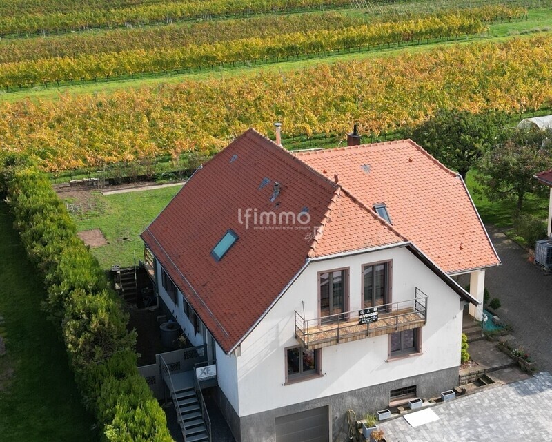 Maison familiale 192m2 - espace pro – vue vignes Ottrott - Vue drone