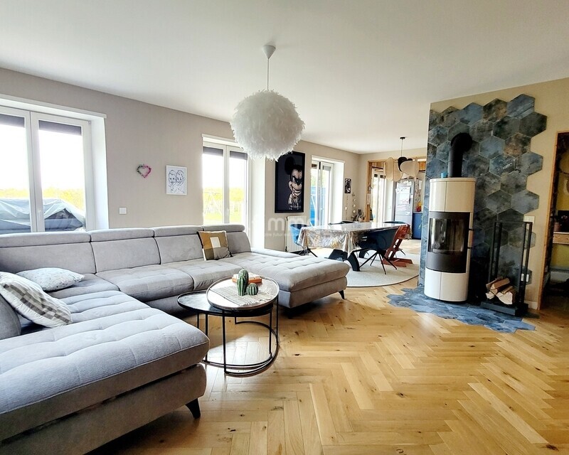 Maison familiale 200m2 - espace pro – vue vignes Ottrott - Salon