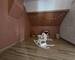 Maison exceptionnelle  - 4c338809-668e-490e-8f0b-c013ee78914e