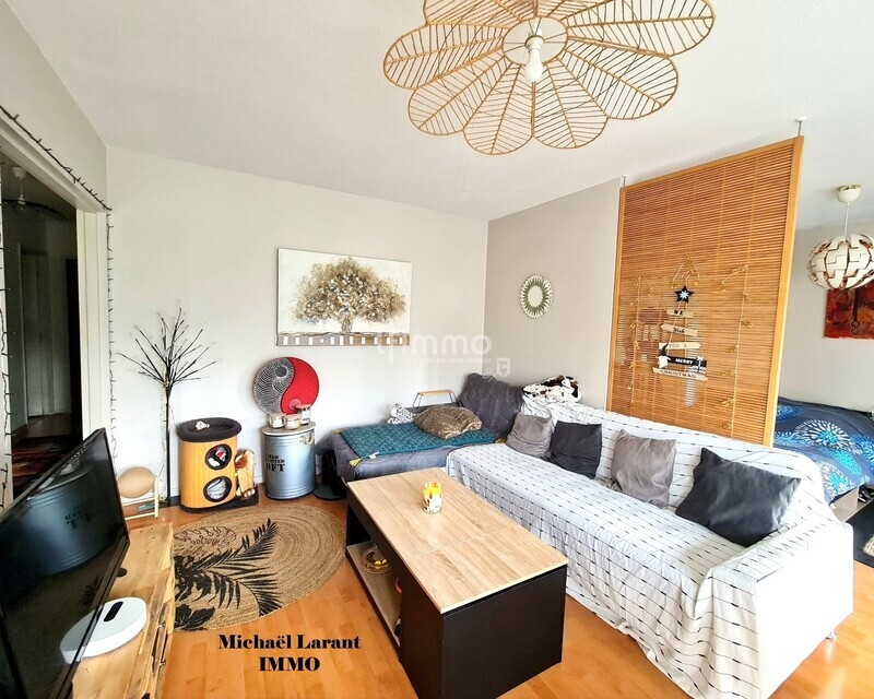 Appartement 49m2 grand balcon - 1000028547