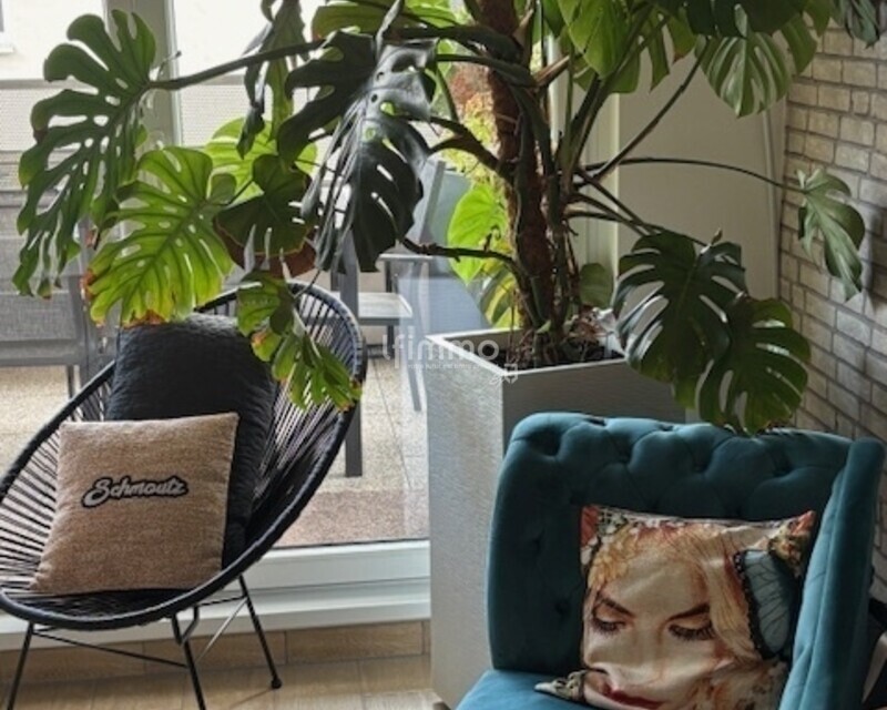 Vous en avez rêvé...nous l avons trouvé pour vous ! - Img 3716