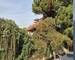 Maison 103m2 piscine 13010 Pont-de-Vivaux - 20251009 113028