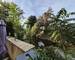 Maison 103m2 piscine 13010 Pont-de-Vivaux - 20251009 113349