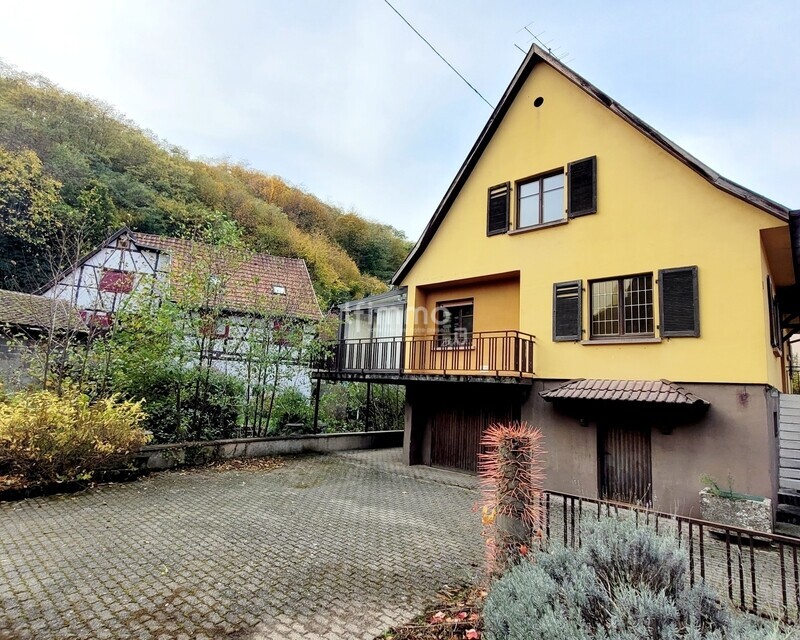 Cadre bucolique et fort potentiel à Andlau - 20251029 135436