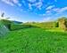 Maison de 3 pièces – 56 m² – Crozon (29160) - Jardin (bas du terrain)