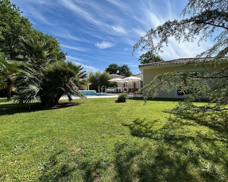 Villa prestige T6 avec piscine "Coup de coeur" - Jardin 1