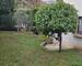 Appartement 3 pièces avec jardin privatif et garage - 20251021 164151