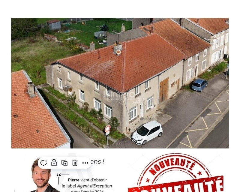 Bâtisse historique, à vendre, dans le Saulnois. - 27 juillet 2030 bis page-0001 1 