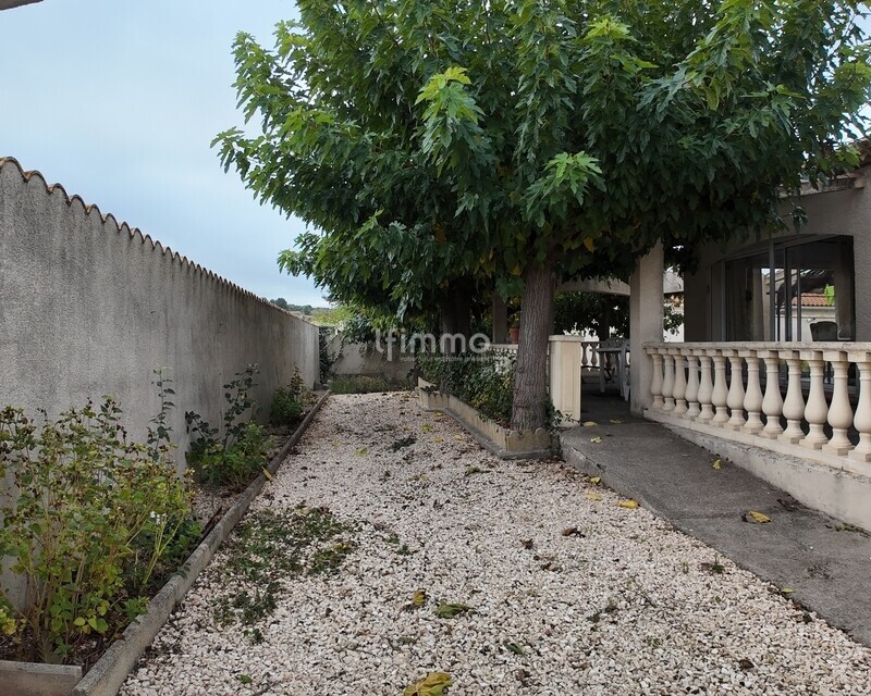 Maison de plain-pied au cœur des Corbières, entre nature et patrimoine - Dji mimo 20251104 084938 20251104084939 1762262996375 photo