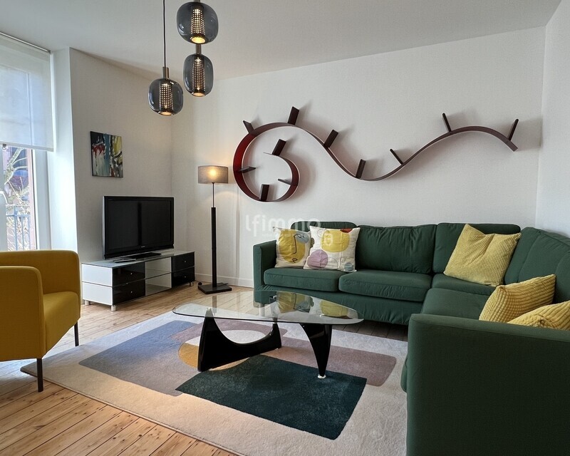 Bel appartement meublé Strasbourg - Salon 1