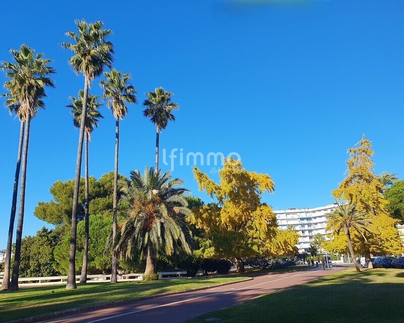 06400 Cannes - reprise du fonds de commerce ou droit au bail - Omgeving 3