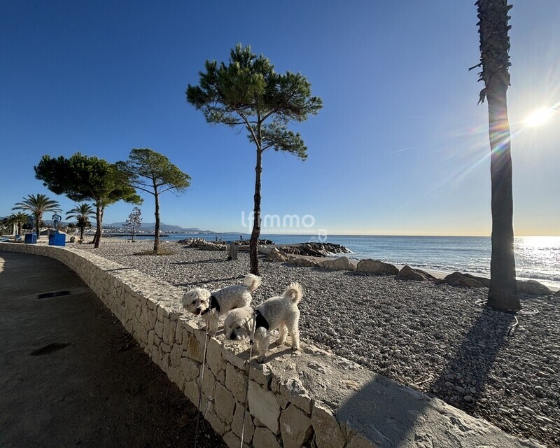 Rooftop d'exception ! une pepite à 3 mn à pied de la plage ! - Img 4680 2