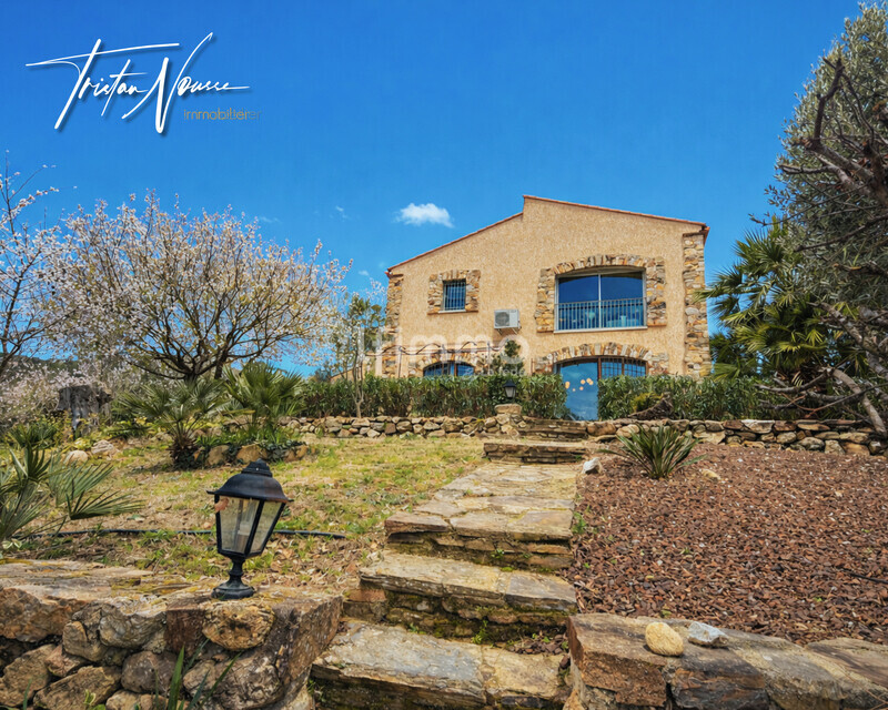 Mas Catalan de 260 m2 - 1ha de terrain - Argelès sur Mer - Vente vidal rdc - 3