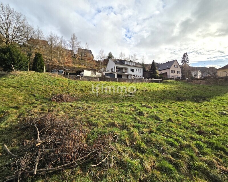 Terrain constructible – 7,10 ares – Lapoutroie - 20260224 162206