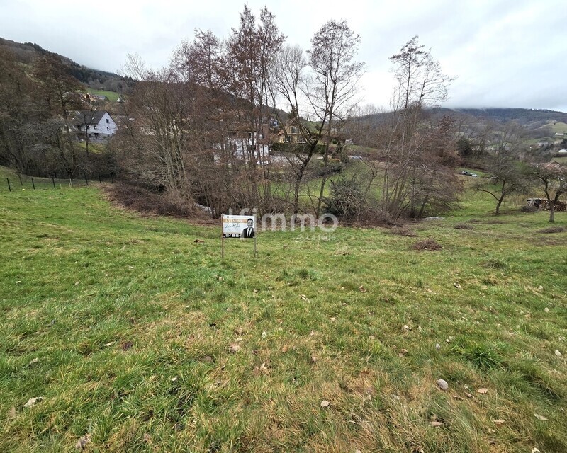 Terrain constructible – 7,10 ares – Lapoutroie - 20260224 164054