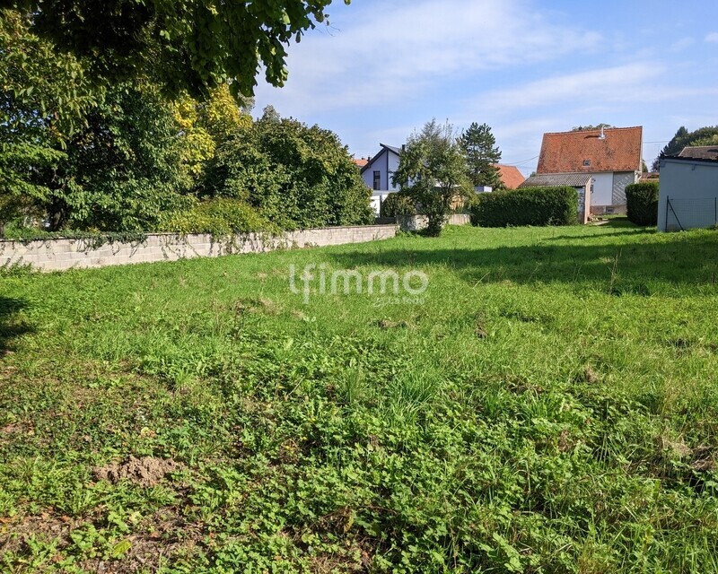 Terrain à bâtir 1265 m² Soultz-sous-Forêts - Pxl 20250929 124415333
