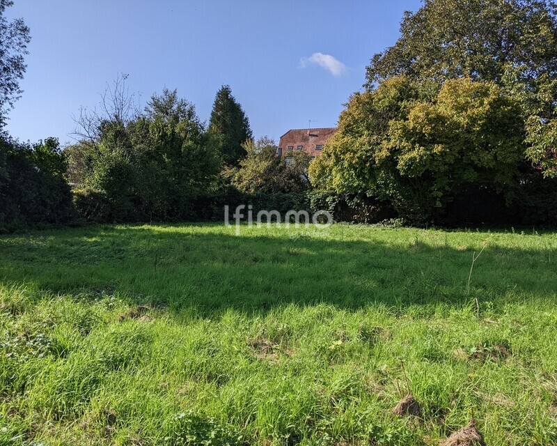 Terrain à bâtir 1265 m² Soultz-sous-Forêts - Pxl 20250929 124151914