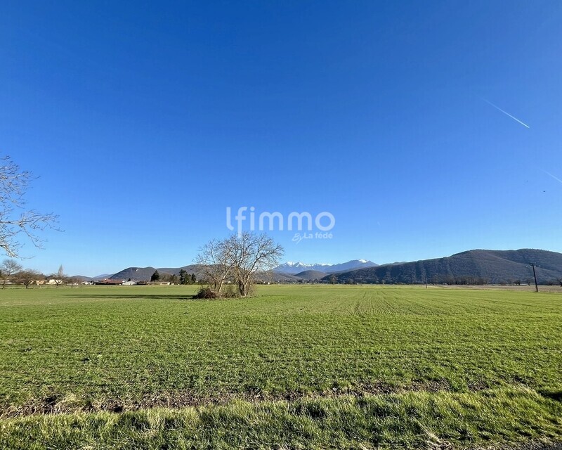 Terrain constructible de 1 624 m² à Pointis-de-Rivière - Whatsapp image 2026-02-23 at 20.00.40