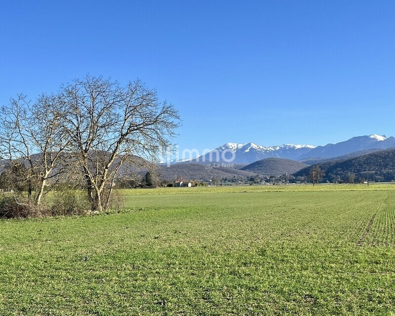 Terrain constructible de 1 593 m² à Pointis-de-Rivière - Whatsapp image 2026-02-23 at 20.00.39  1 