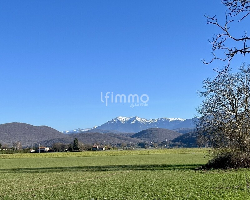 Terrain constructible de 1 576 m² à Pointis-de-Rivière - Whatsapp image 2026-02-23 at 20.00.40  1 