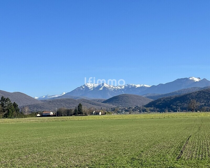 Ensemble de 4 terrains – 6 401 m² - Whatsapp image 2026-02-23 at 20.00.39  2 