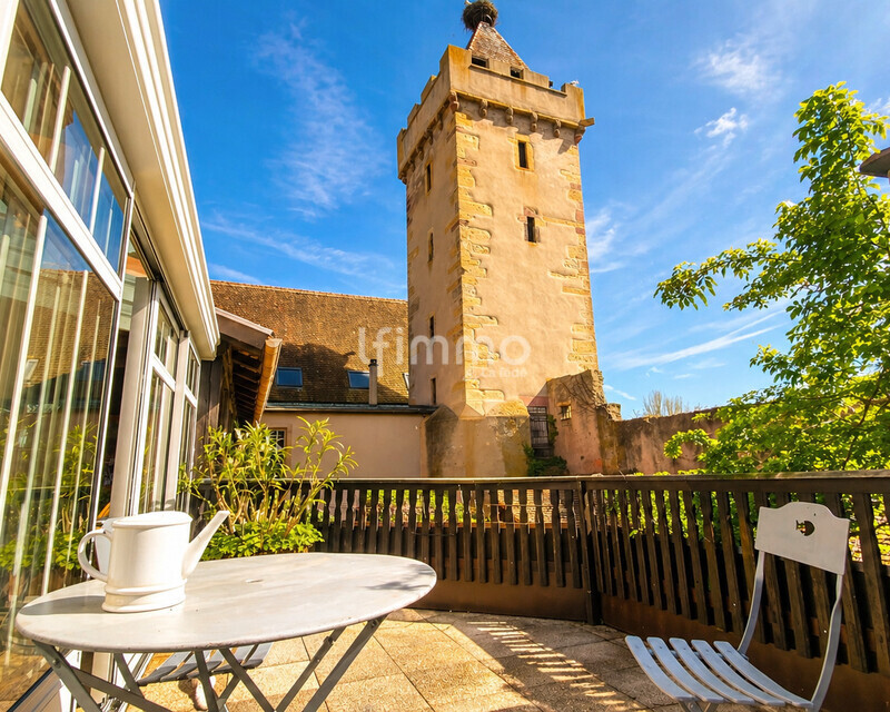 Bien historique :  restaurant, cave voutée, cour, jardin, appartements - Vue terrasse Duplex principal