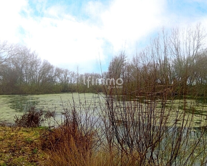 62156 Boiry-Notre-Dame - Terrain de chasse avec hutte numérotée - Img 20260310 155006