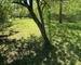 Vente maison  Les Etangs 57530 surface de 187m² - Img 1031