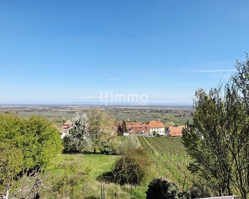 Maison 123 m² + terrain constructible – Vue vignes – Heiligenstein - Vue