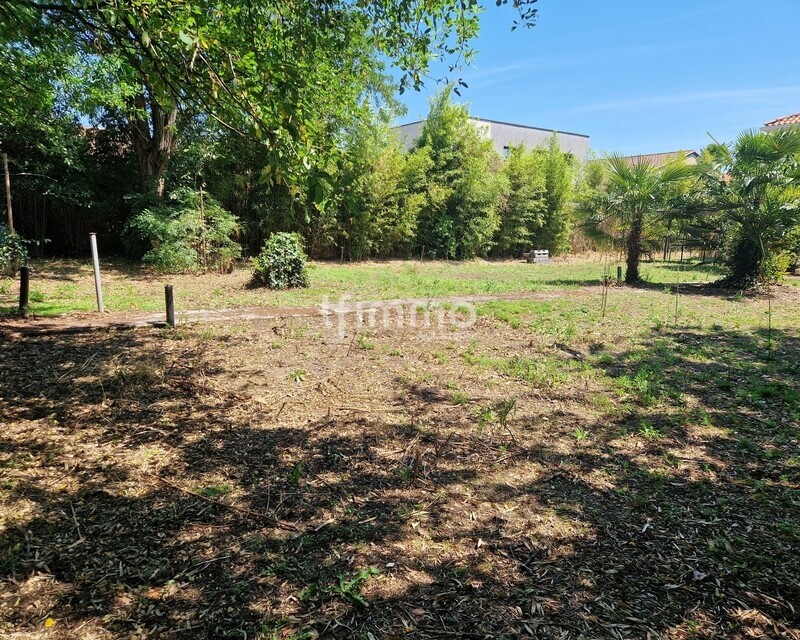 Terrain à bâtir au Tasta - 20260526 151740