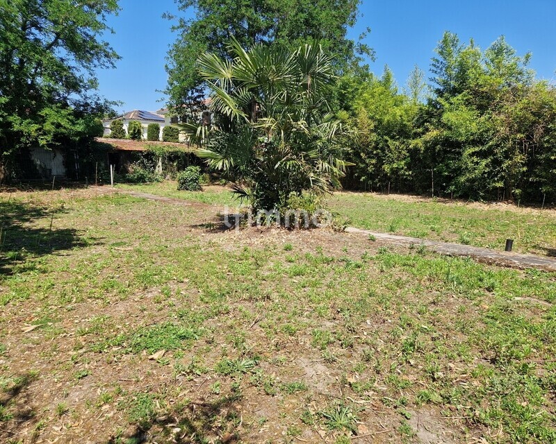 Terrain à bâtir au Tasta - 20260526 151458  1 