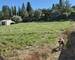 Terrain constructible 1390m² – Impasse calme – Vue garrigue - 20260415 164818