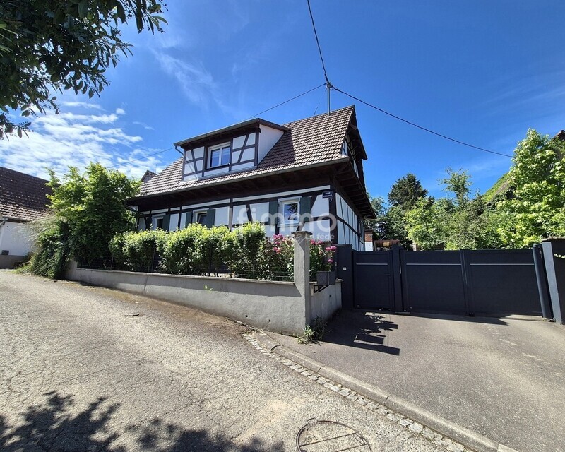 Magnifique maison alsacienne à Reimerswiller/Betschdorf.  - 20260617 111545
