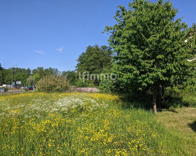Terrain à bâtir 725 m² Woerth - Pxl 20260509 152537635