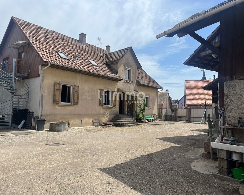 Corps de ferme à Réguisheim - Whatsapp image 2026-06-18 at 08.36.42