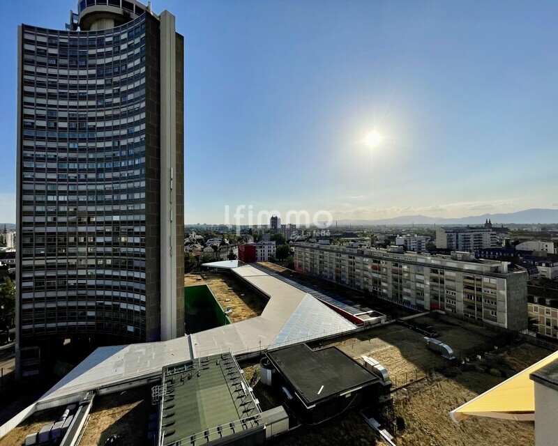 Attique et sa terrasse rooftop de 50m2 - Img 7819