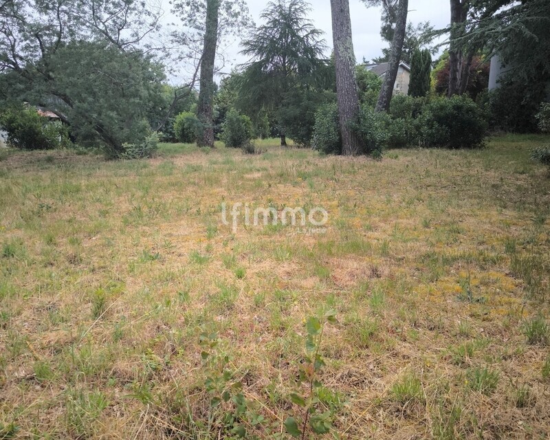 Terrain de 1 111 m2 en seconde ligne centre ville - Img 20260603 113239  1 