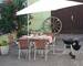 Immeuble mixte 400m² + dépendances sur 20 ares - Cour 1
