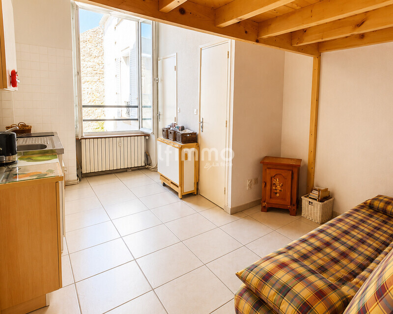 Rare, studio calme et rénové en centre ville - 1000024616