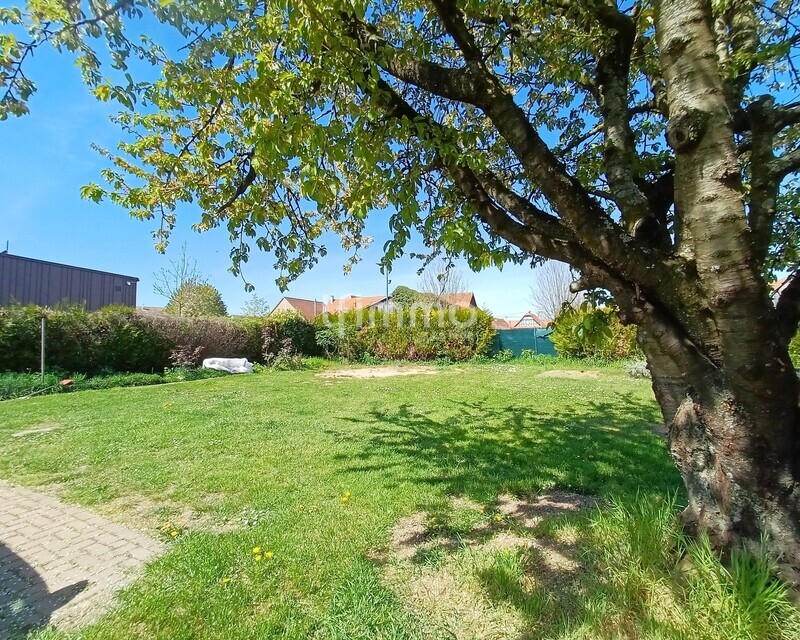 Terrain constructible d'environ 274 m²  - 20260409 141044