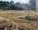 Vente terrrain à batir 57220 Bisten-En-Lorraine - Img 1718