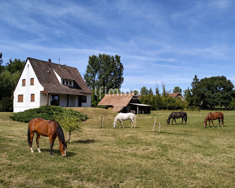 Maison avec une dépendance, sur environ 56 ares - File 000000009f5081f481ae9485e6453a96