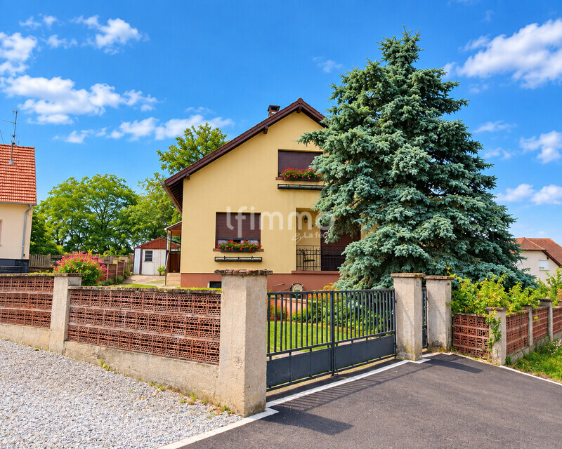 Maison à Riedseltz avec terrain constructible - 548287f5-b6d6-4a49-882f-238887430ac9