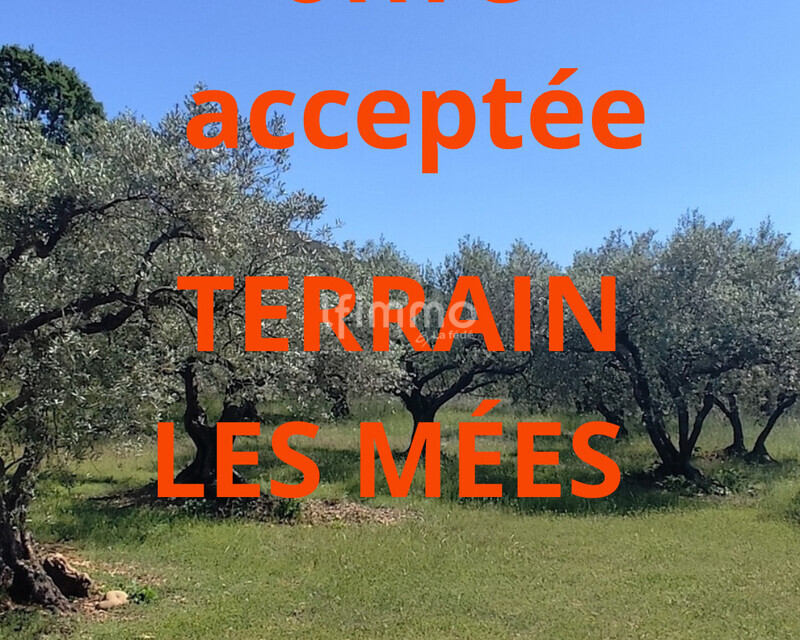 Parcelles de terrains agricoles - Ef721638-033a-4016-a80b-9f48a88db1da
