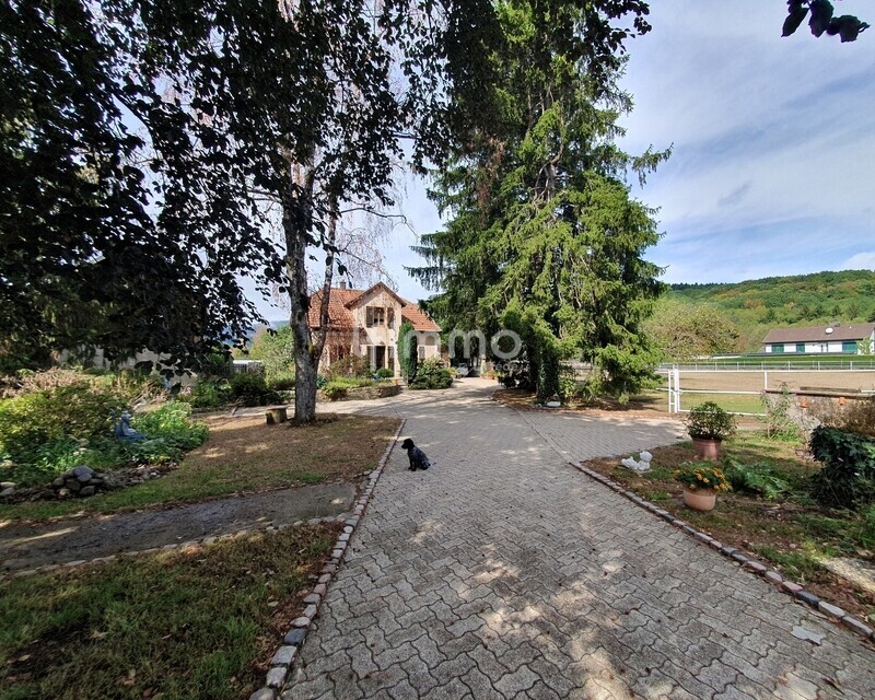 Viager – Propriété 37 ares constructibles, maisons + dépendances - 18 vue cour